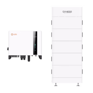 Solis 10 kw + Dyness 17 kw ( paket) inkl. grönt avdrag